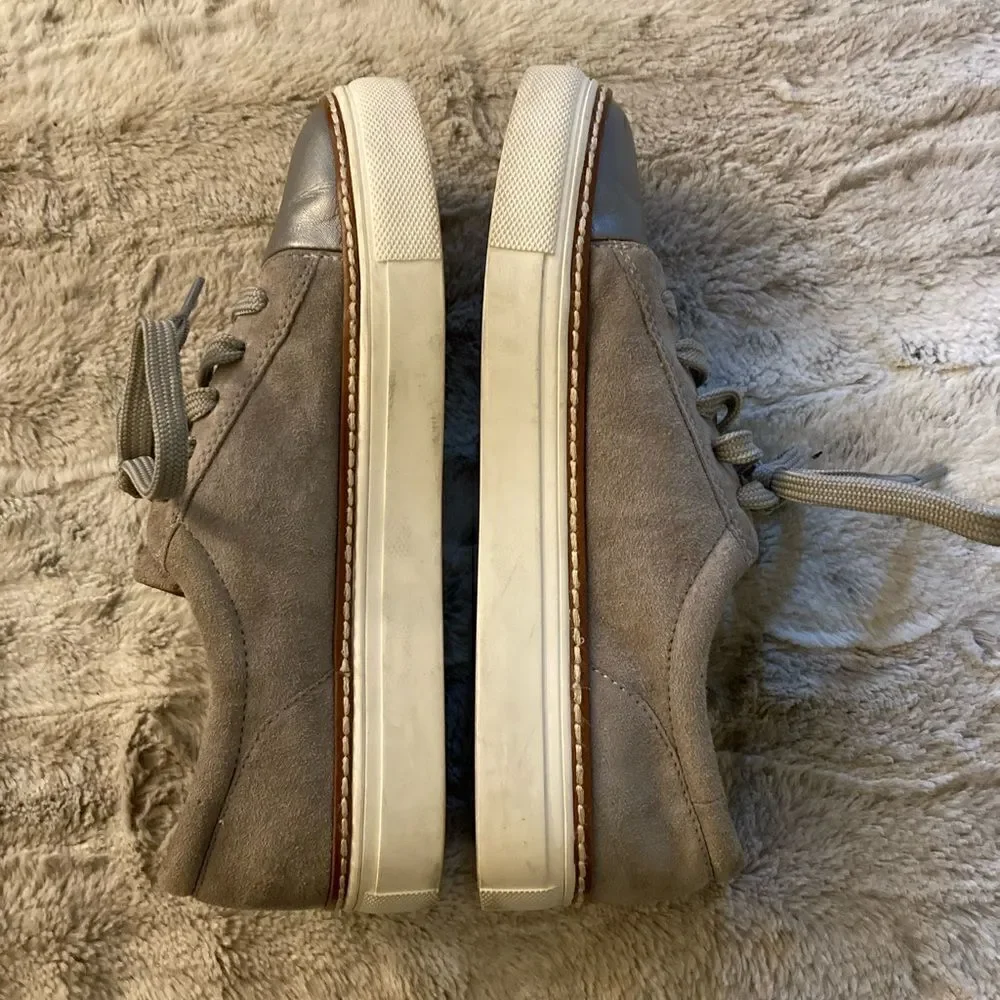 𝅺: : Caslon Suede Metallic & Grey Sneakers : :​